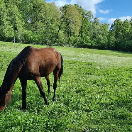 Nyaraló Un En Charente, 4 Etoiles *